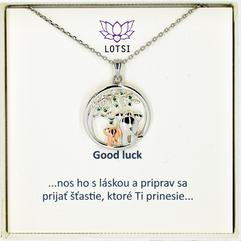 strieborna-retiazka-s-priveskom-so-slonikmi