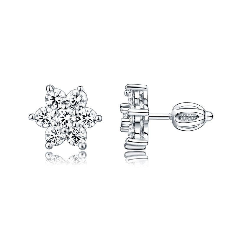 Silberne Schraubohrringe