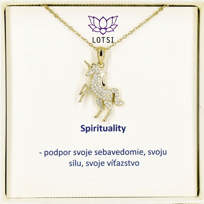 Strieborná retiazka Spirituality