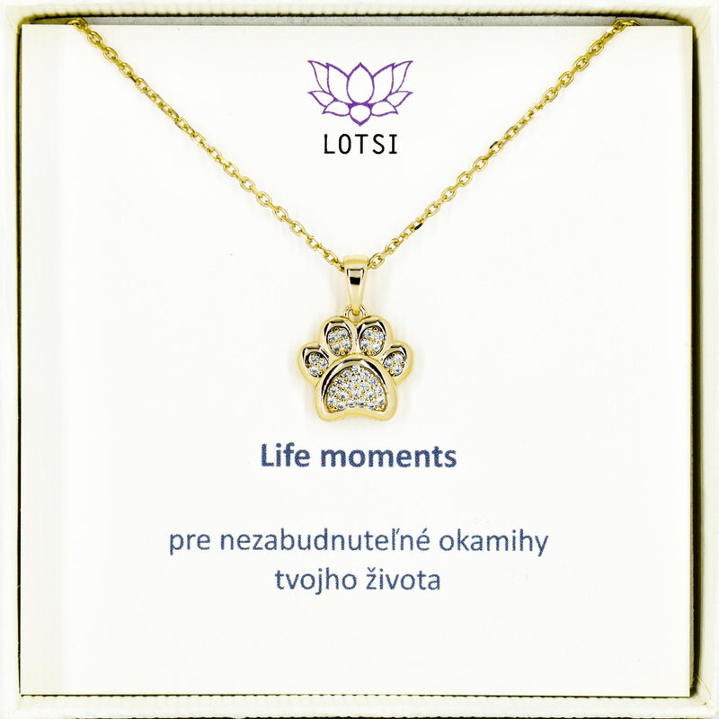 strieborna-psia-labka-na-retiazke