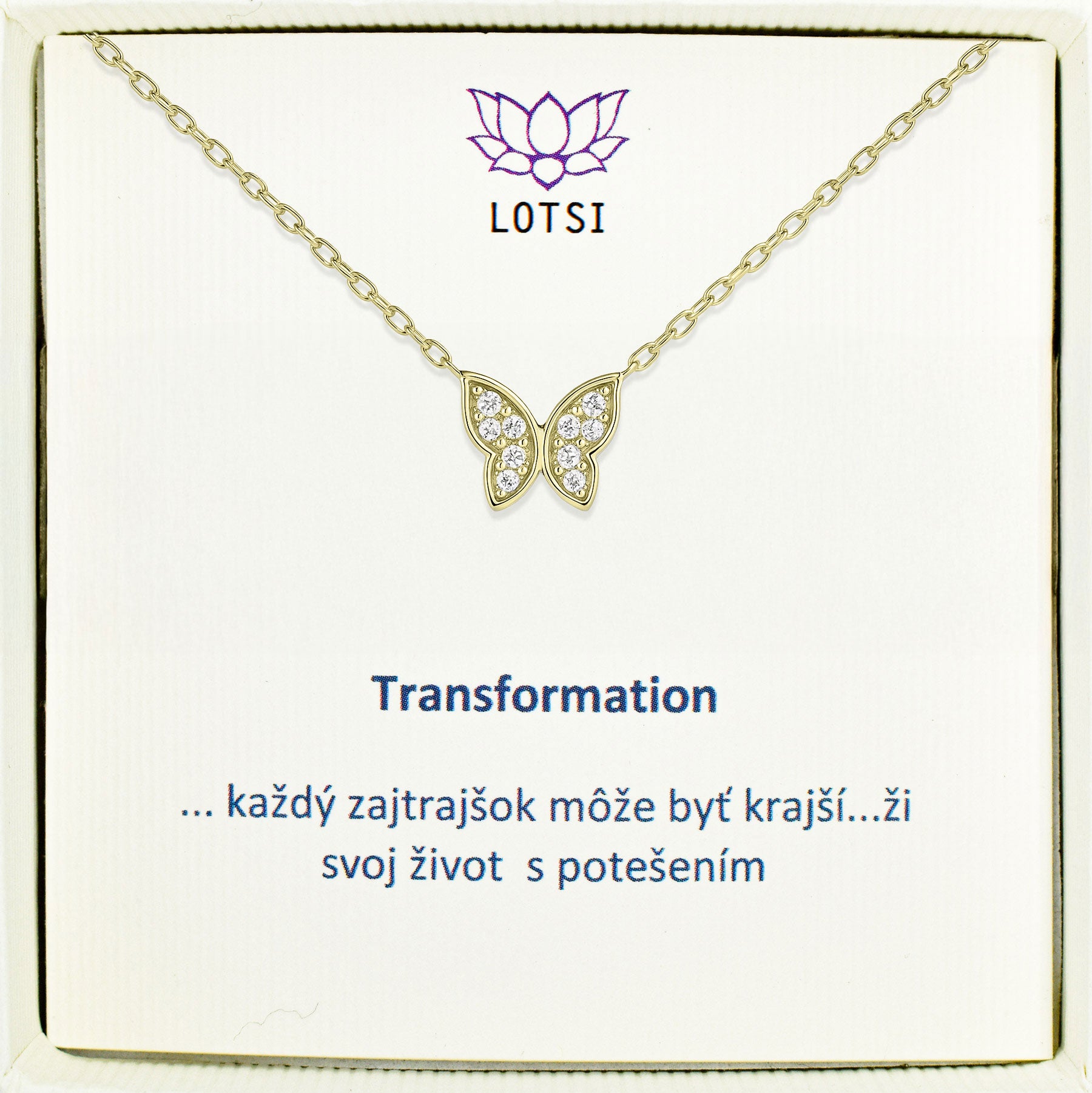 Strieborná retiazka Transformation