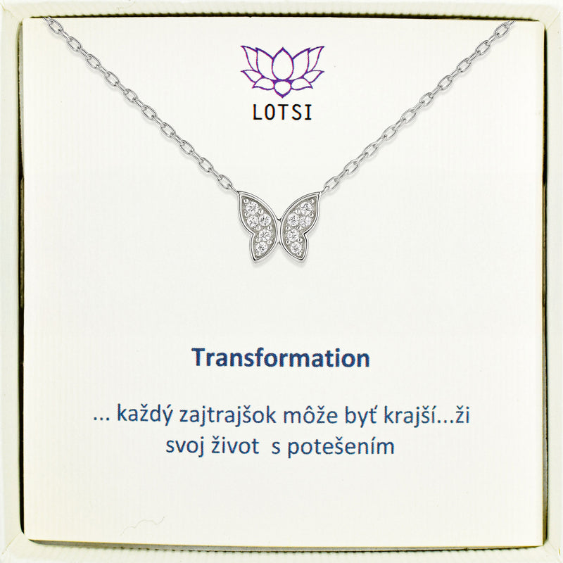 Strieborná retiazka Transformation